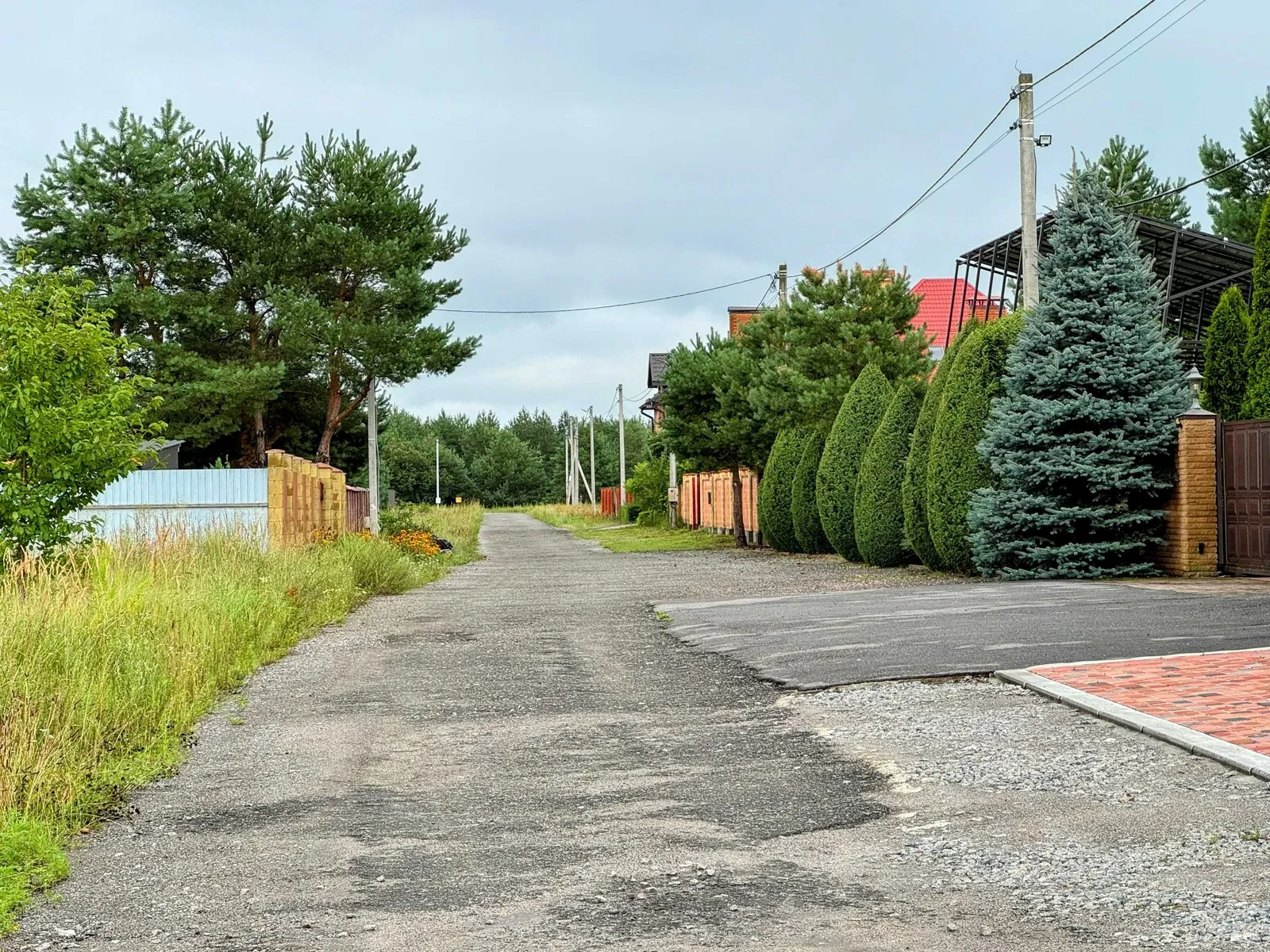 Ділянка 10 соток, Березівка: асфальтована дорога, газ, ліс - фото 1
