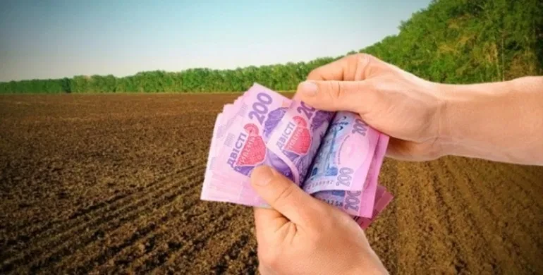 Ділянка 200 соток, Великокомарівка: ОСГ, пай, ще ділянки поруч - фото 4