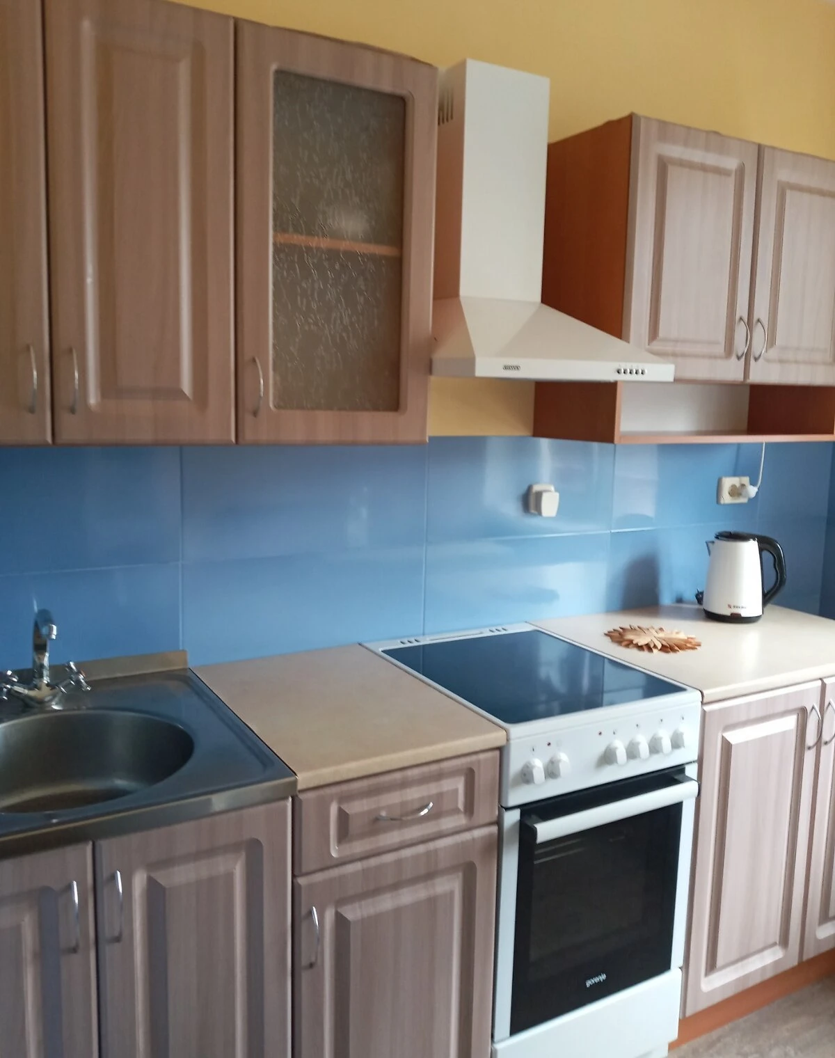 1-кімнатна квартира, Батиєва Гора: опалення працює без світла - фото 1
