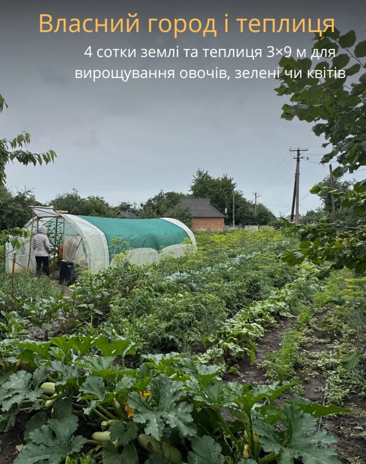 Будинок, Диканька: бесідка, гараж у дворі, 25 соток, фото 4