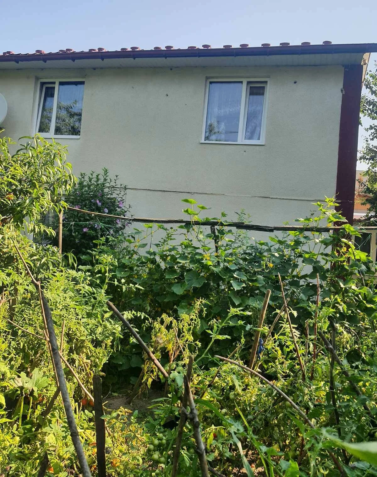 Будинок, Заліщики: 6 кімнат, 2 поверхи, торг можливий, фото 5