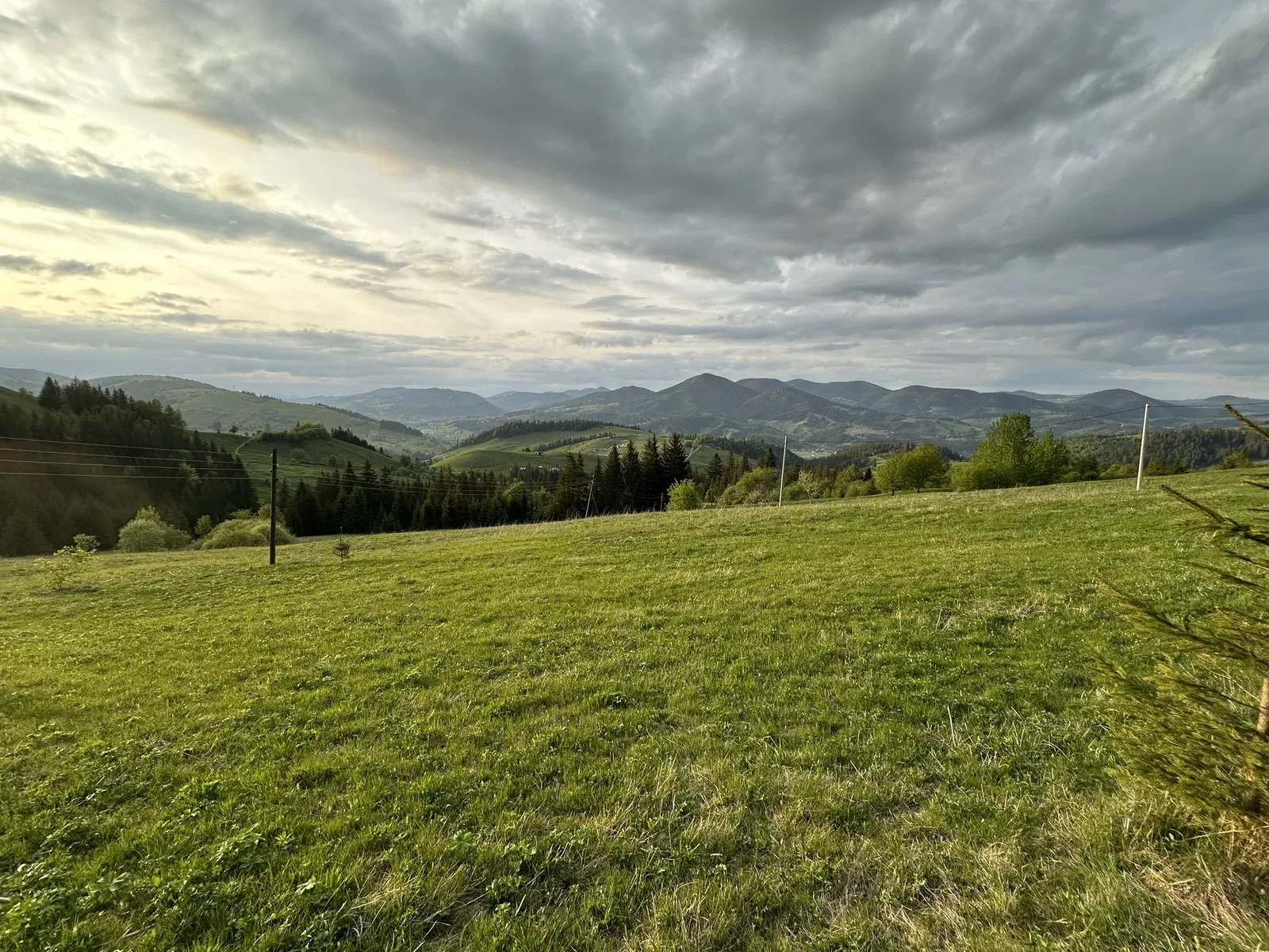 Участок 50 соток, Красник: панорама на Черногорский хребет, фото 2