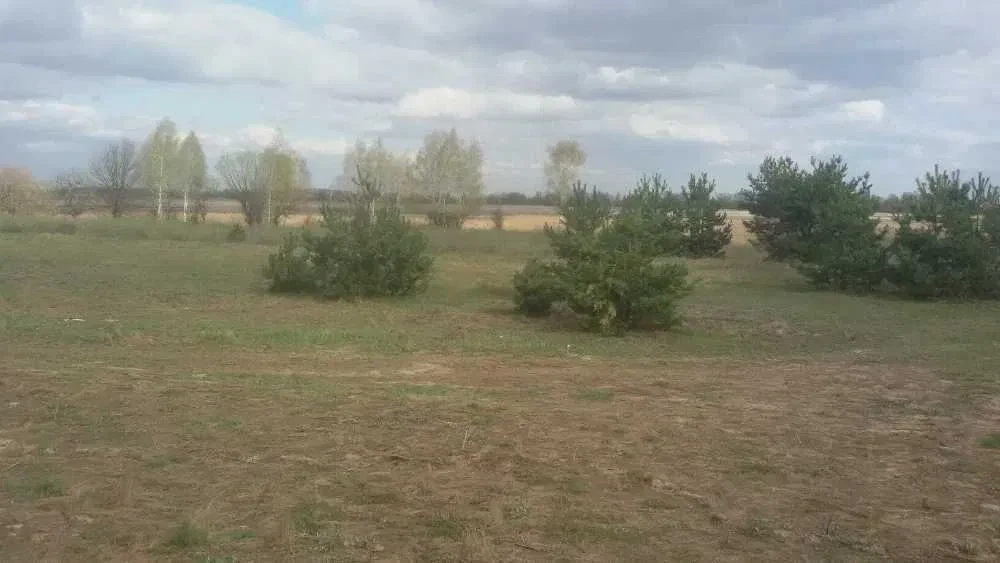 Участок 1324 соток, Богдановка: два озера, газ и электричество, фото 4