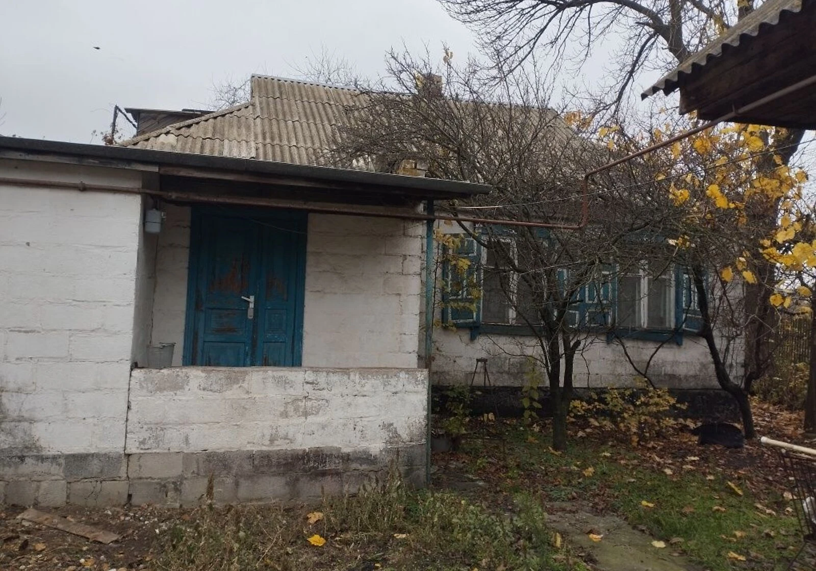 Дом, Александровка (Магдалиновка): кирпичные стены, участок - фото 2