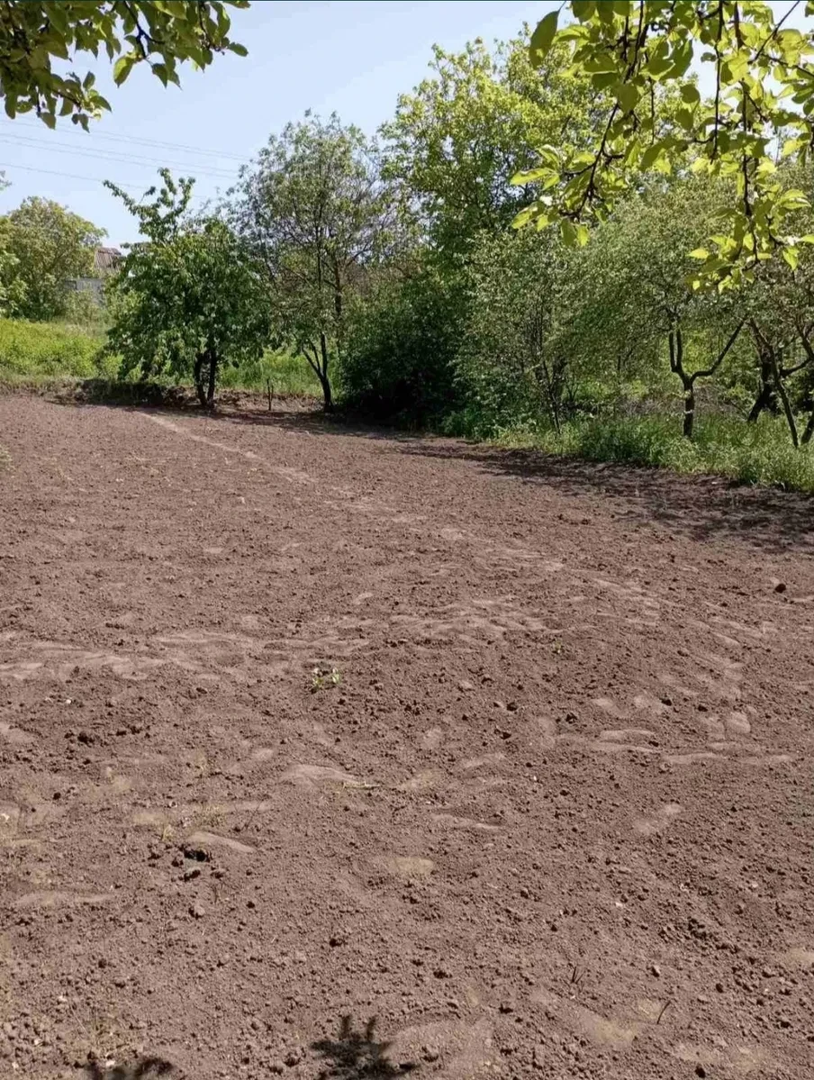 Ділянка, Васильків: підключення електрики та газу, фото 4