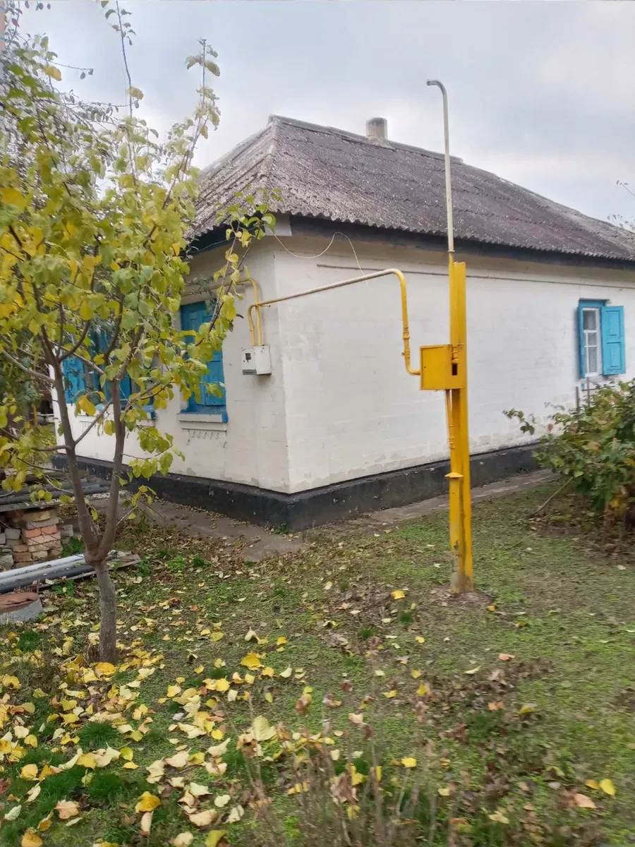 Будинок, Топилівка: гараж, 25 соток, Дніпро за 5 хвилин - фото 1