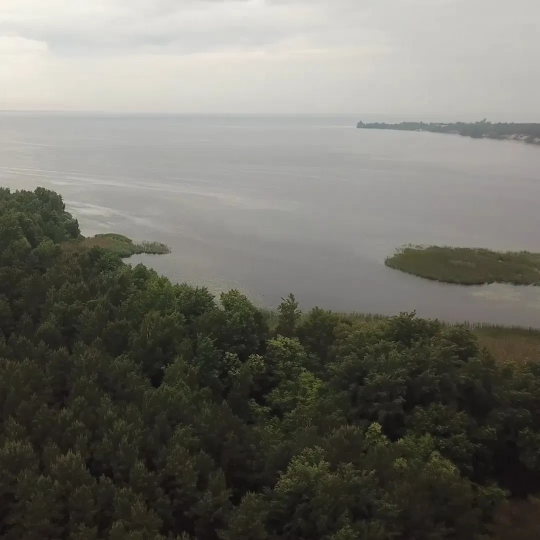 Ділянка 170 соток, Толокунь: вихід до Київського моря, оренда на 49 років - фото 2