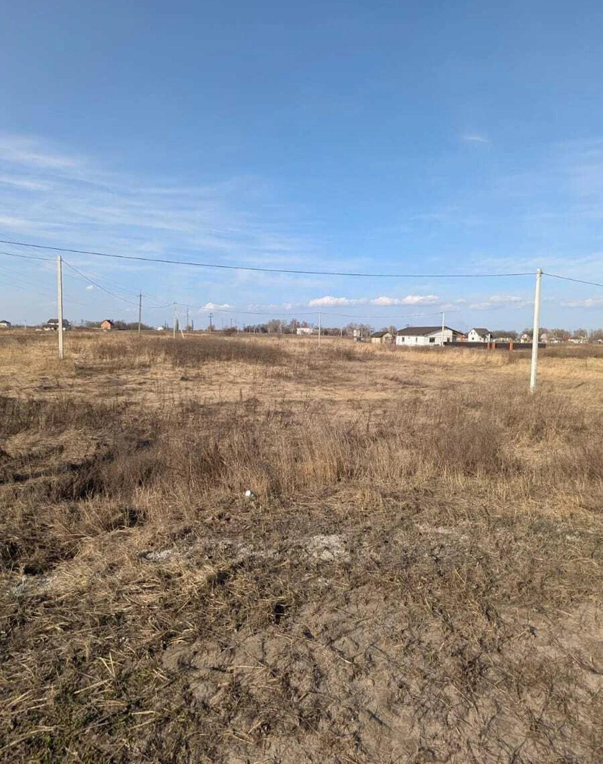 Ділянка 15 соток, Гоголів: під житлову забудову, електрика - фото 3