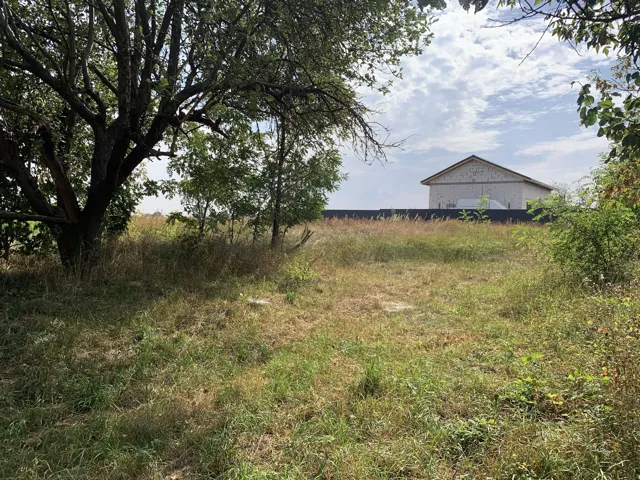 Ділянка 24 соток, Мироцьке: під промисловість, електрика - фото 2