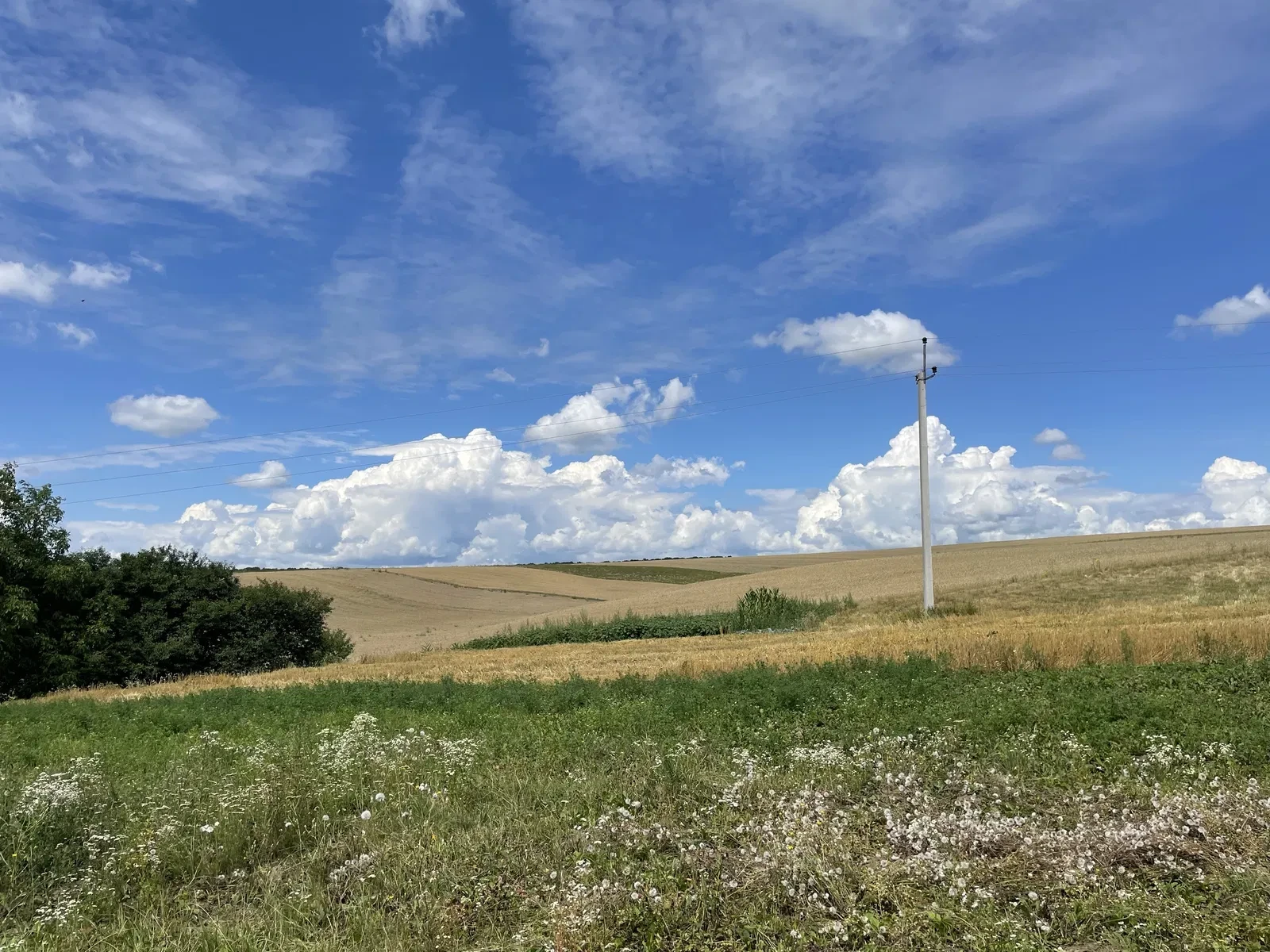 Будинок, Яворівці: 60 соток, 5 км до міста, торг, фото 5
