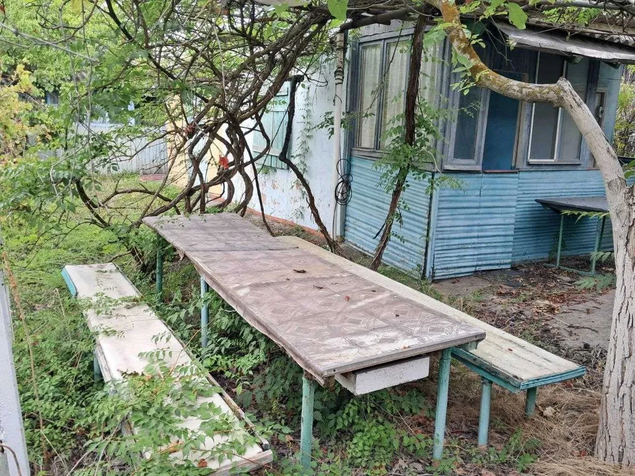 Дача, Затока: під'їзд із трьох сторін, місце під ресторанчик - фото 5