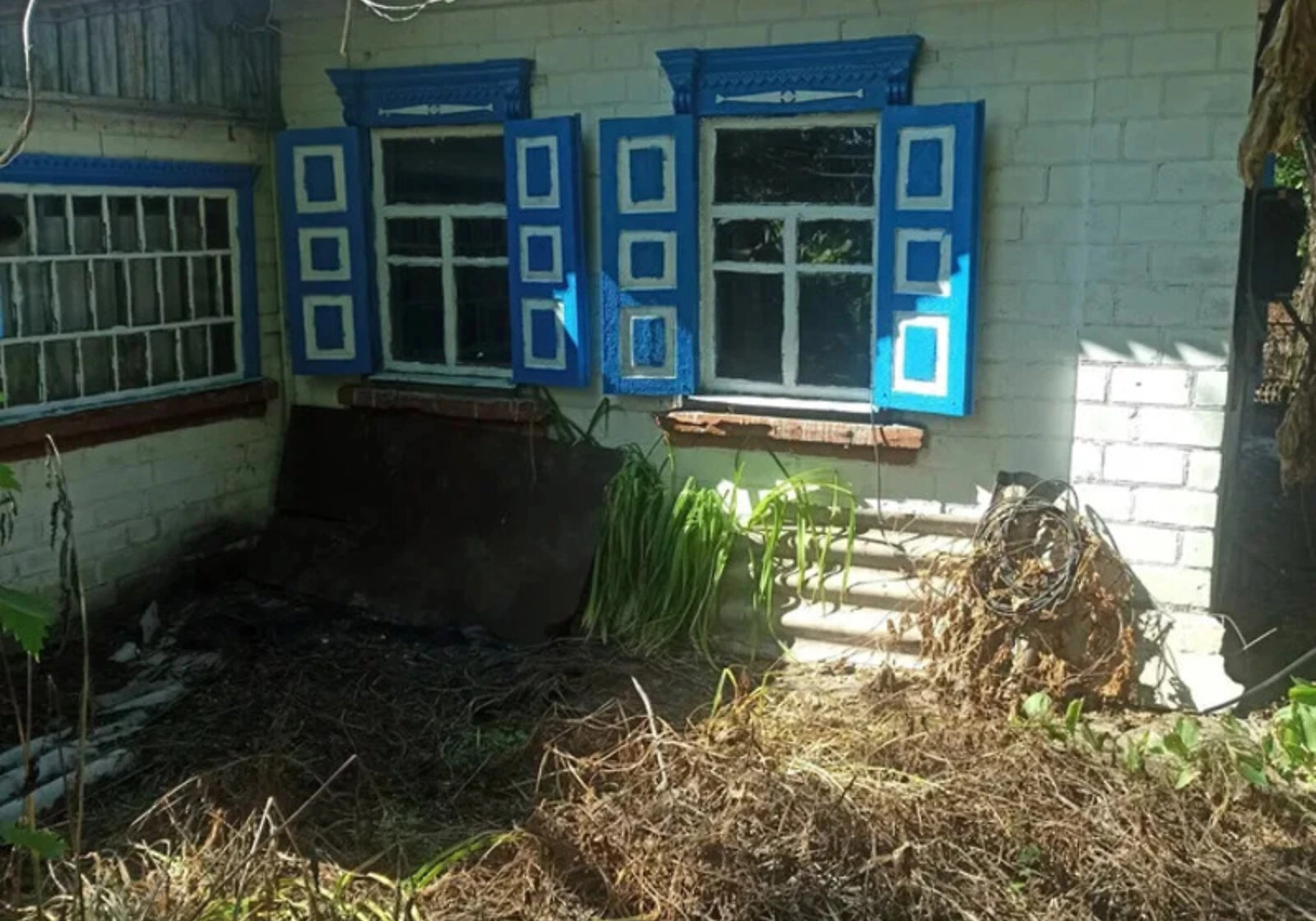 Будинок, Найденівка: гараж у дворі, літня кухня, погріб - фото 1