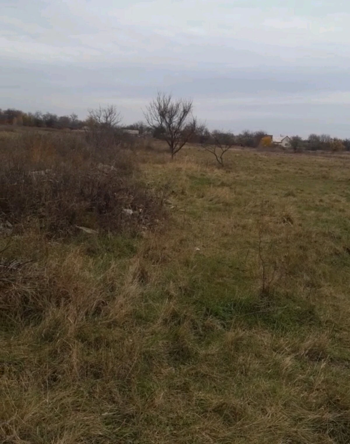 Ділянка 14 соток, Червона Знам'янка: під житлову забудову, 1-ша лінія - фото 2