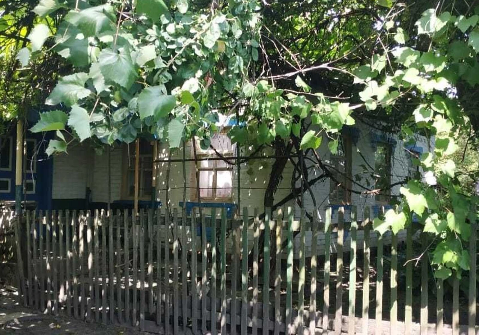Дача, Синяківщина: 40 соток, гараж у дворі, сад