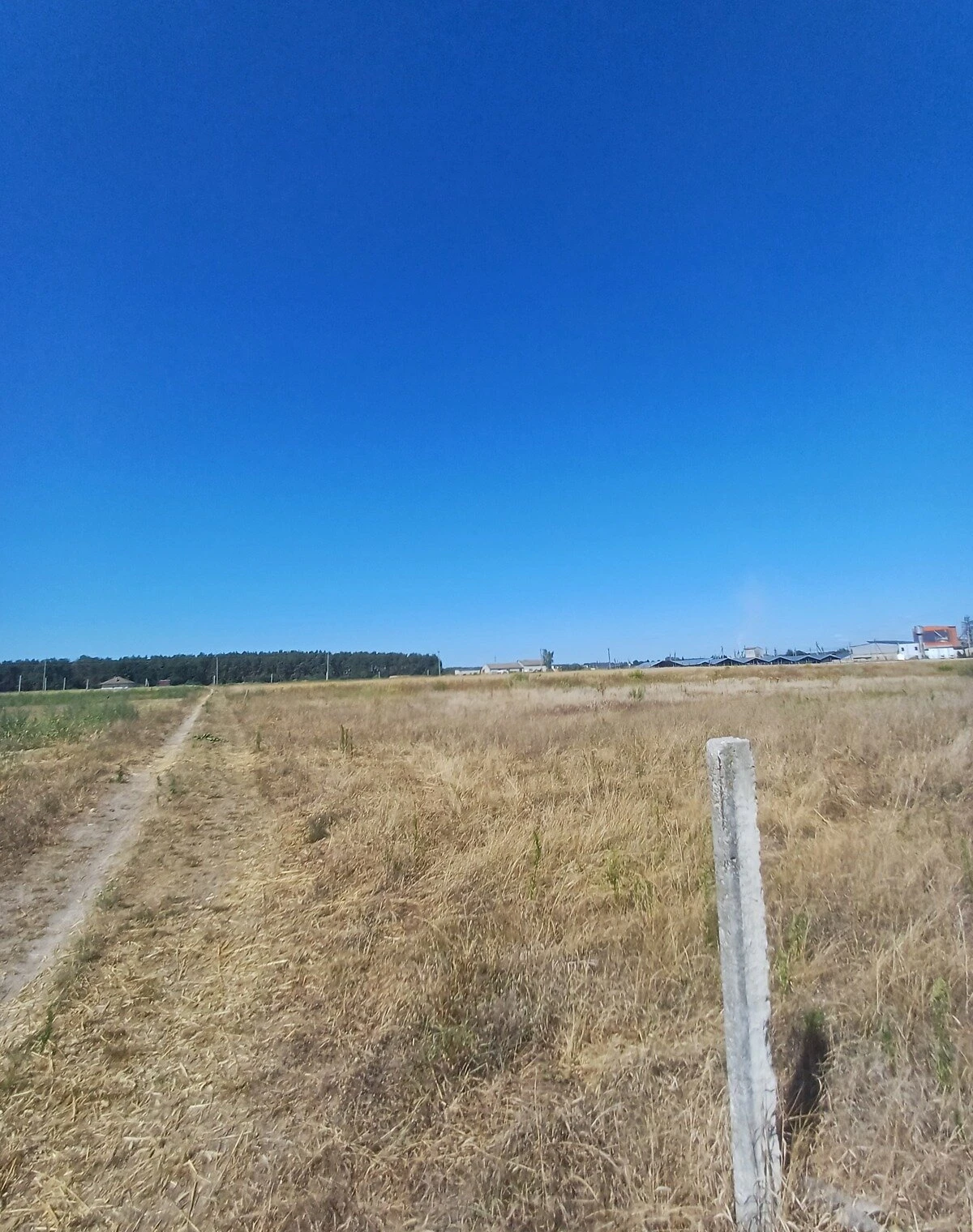 Ділянка 35.9 соток, Олександрія: під житлову забудову, сад, фото 3