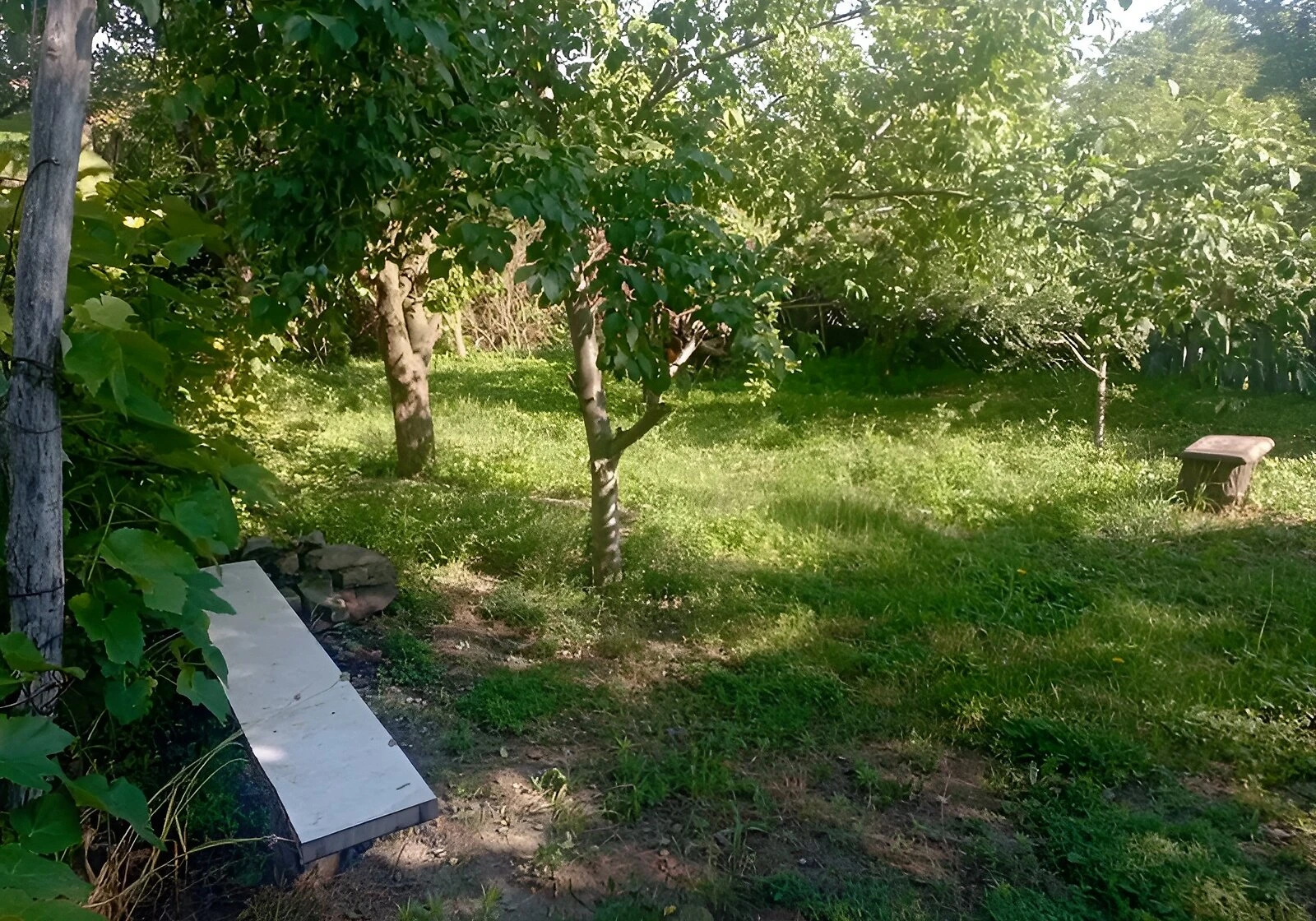 Дача, Тарасовка: 35 соток, гараж во дворе - фото 4