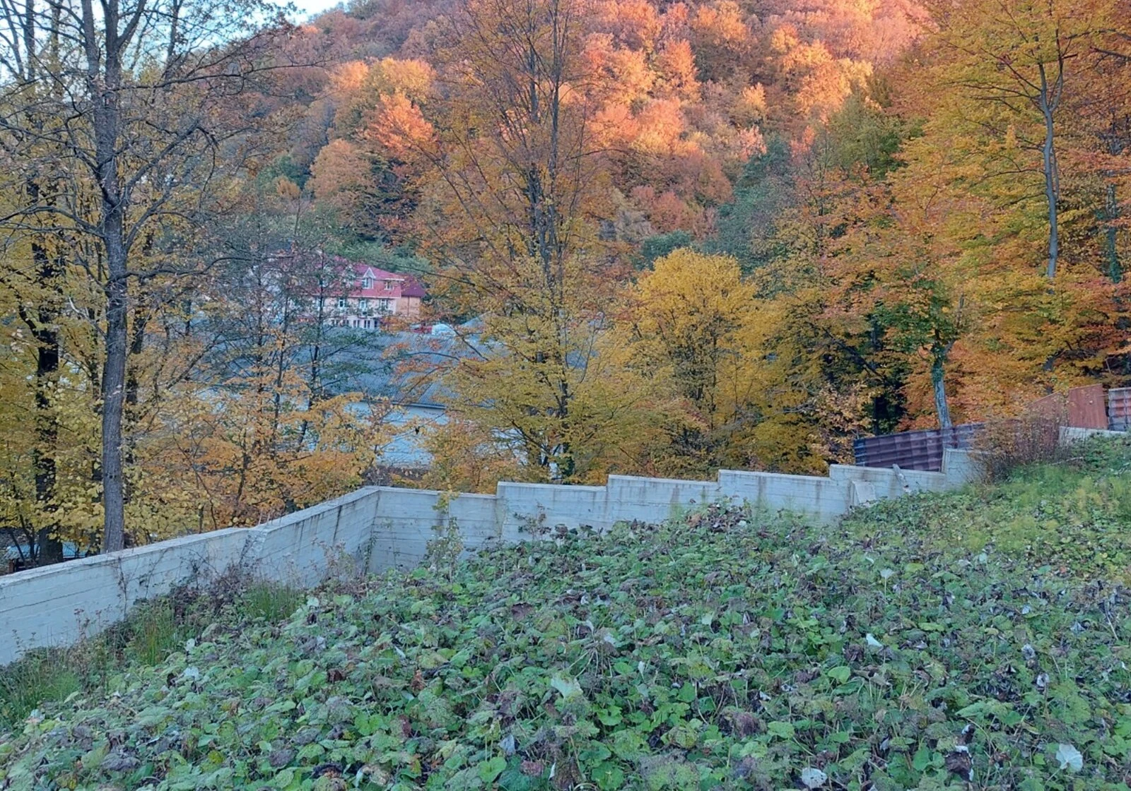 Ділянка 19.5 соток, Шаян: фундамент і паркан, торг, фото 4