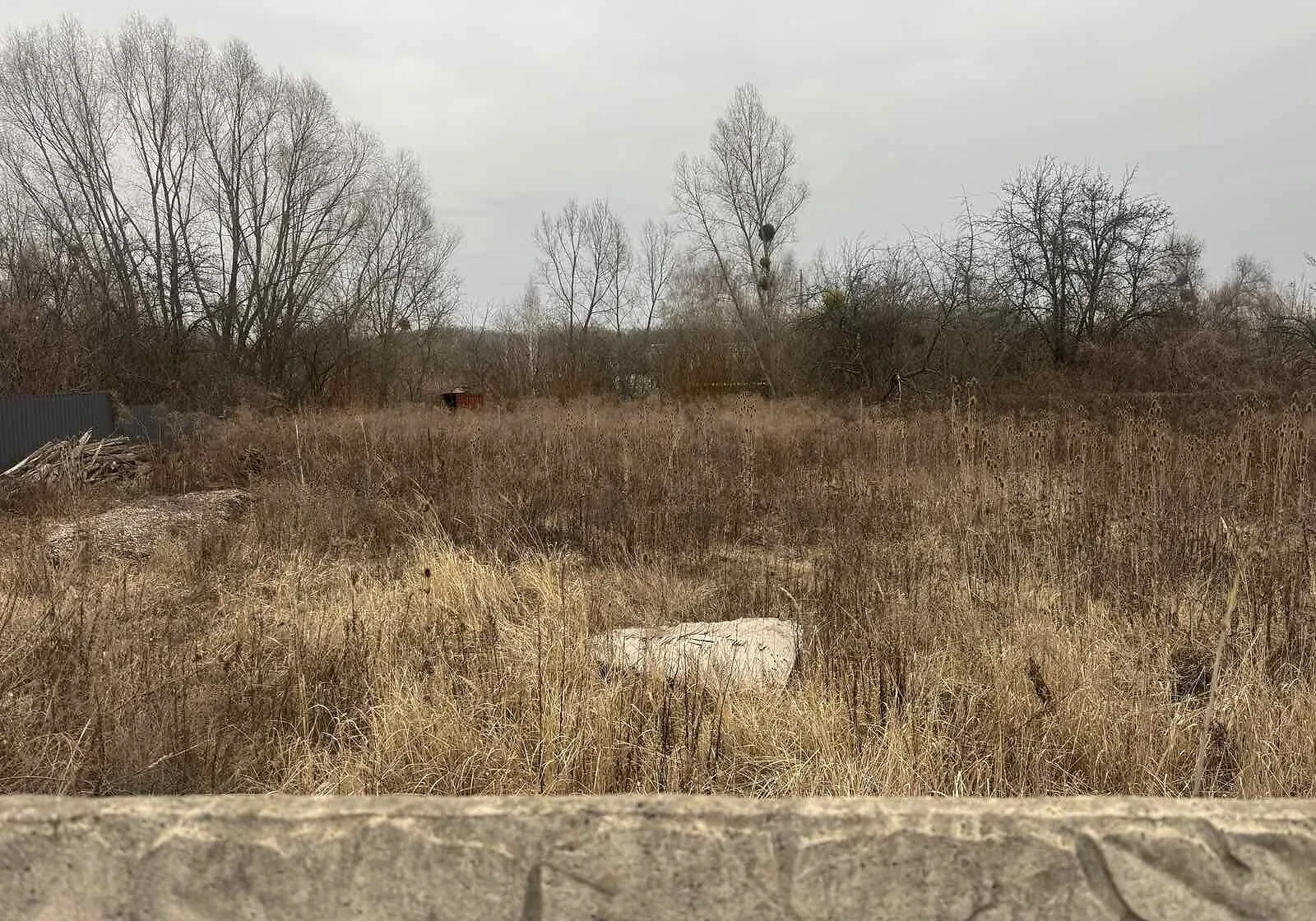 Ділянка 13.5 соток, Вороніна: природне озеро, вихід до водоймища - фото 5