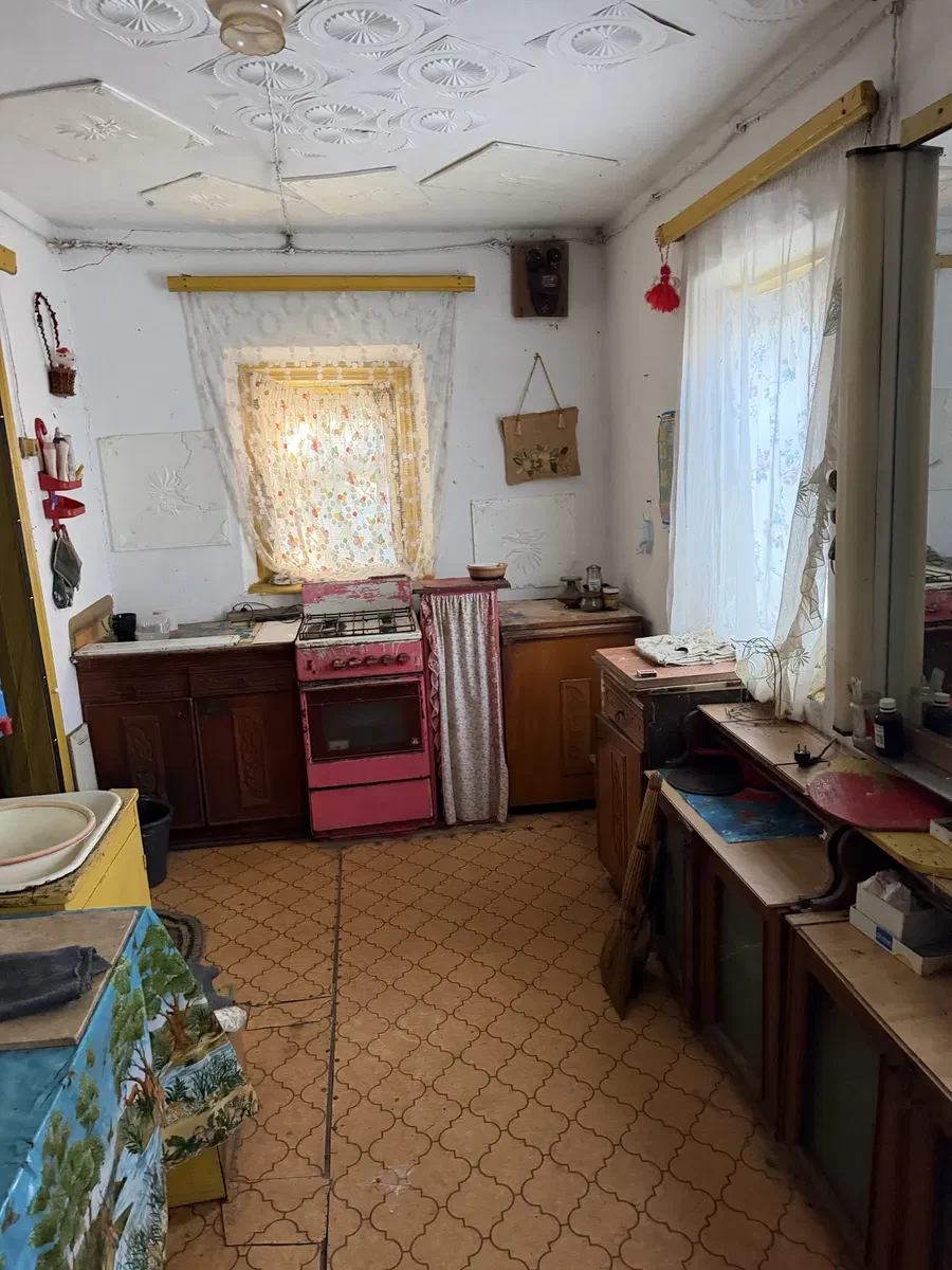 Дом, Веремеевка: сад, беседка с мангалом, склоны Днепра, фото 3