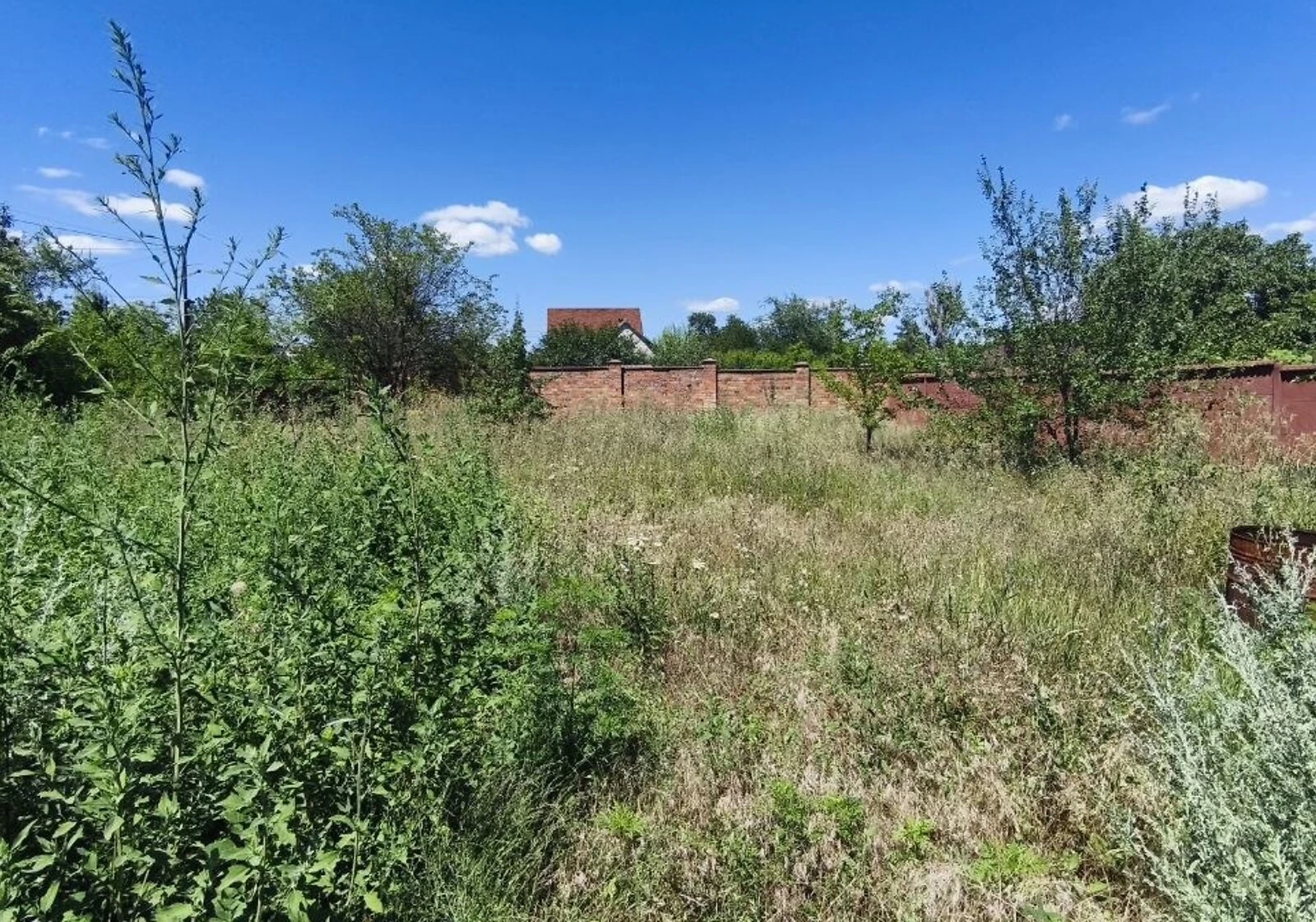 Ділянка 6.3 соток, Дніпровський (Ленінський): басейн, сад, електрика - фото 4