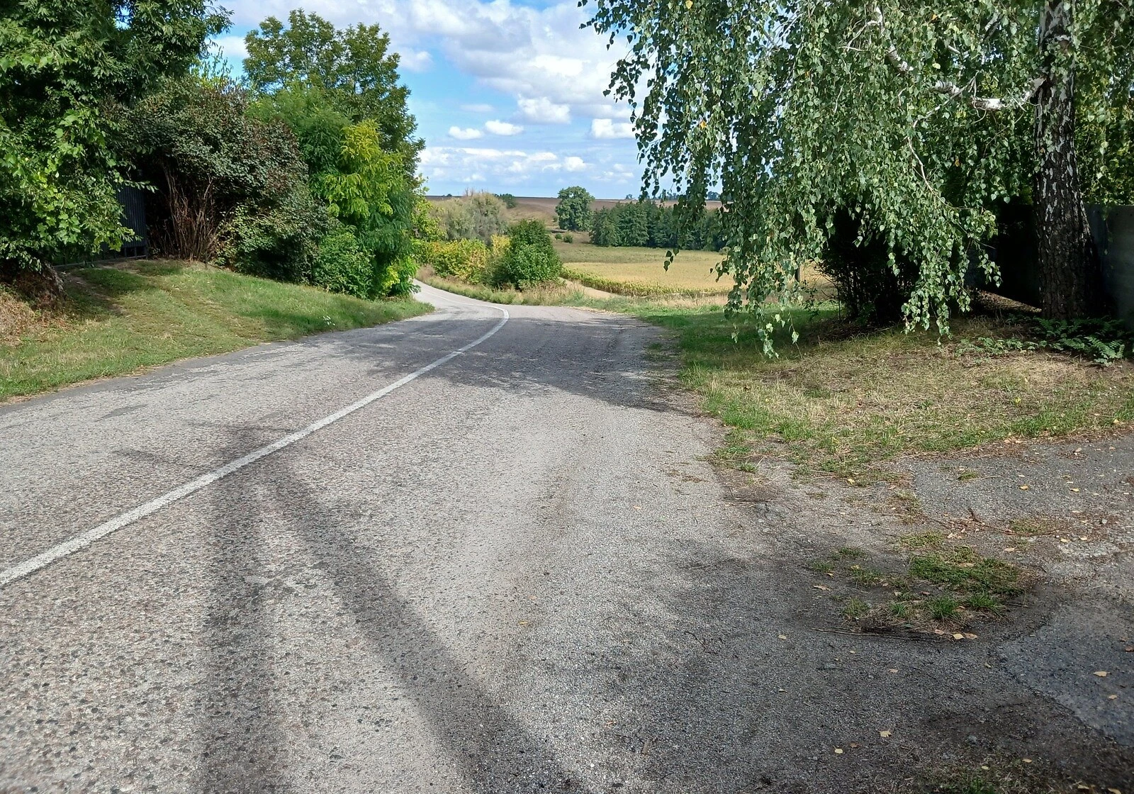 Будинок, Домантівка: веранда, ділянка 65 соток, фото 5