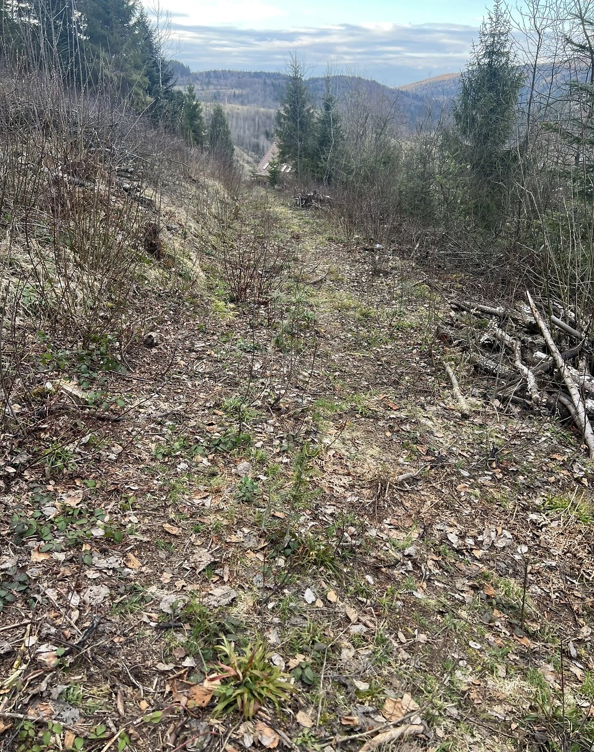 Ділянка 12.5 соток, Кам'янка: сільськогосподарське призначення, торг можливий - фото 2