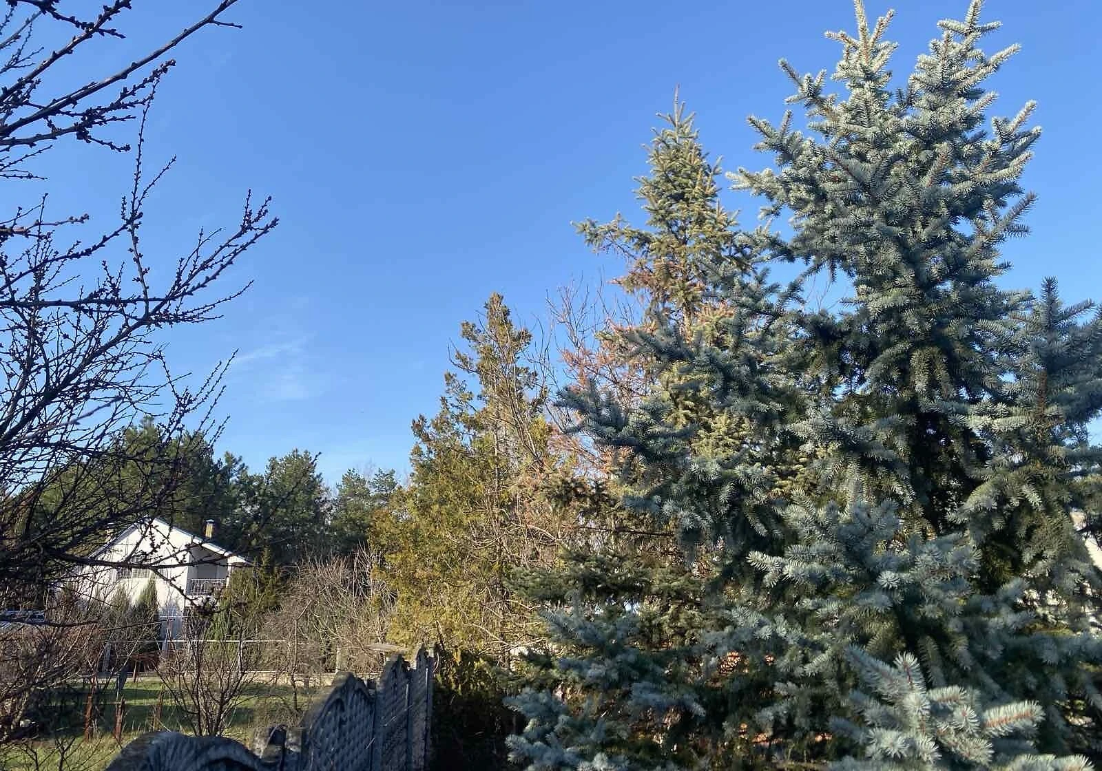 Дом, Обуховка: єВідновлення, дизайнерская отделка, 4 спальни, фото 5