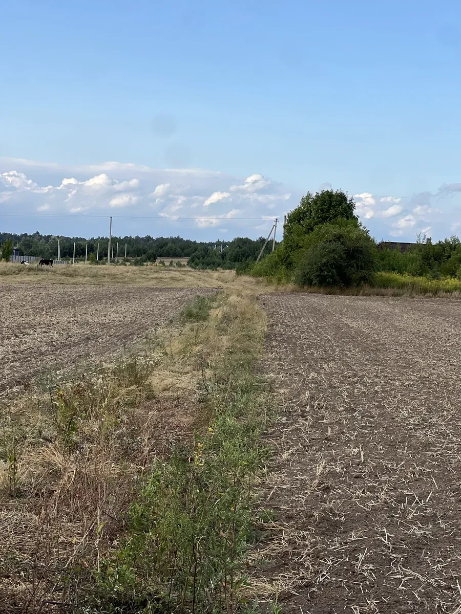Ділянка 1.33 соток, Небіжка: асфальтований доїзд, електрика поруч - фото 3