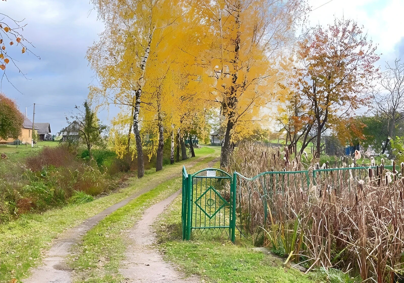 Будинок, Шацьк: веранда, гараж, ділянка 38 соток - фото 5