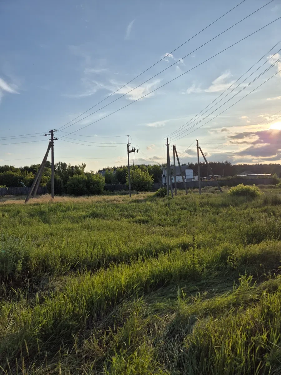 Участок 12 соток, Деньги: сосновый лес, возможна газификация - фото 3