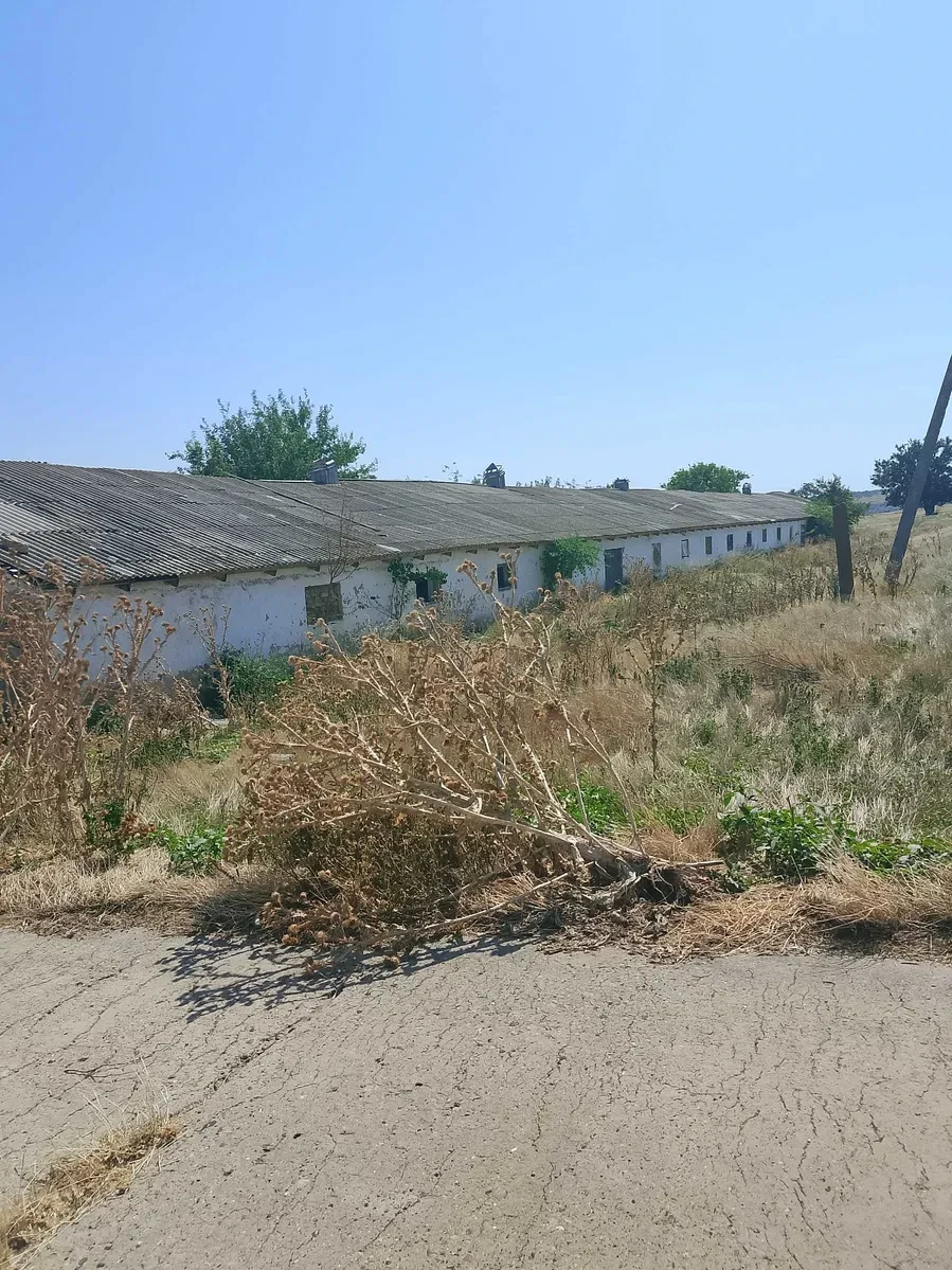 Ферма, Сарата: 4 корпуси, пасовище, ставок за 500 м - фото 3
