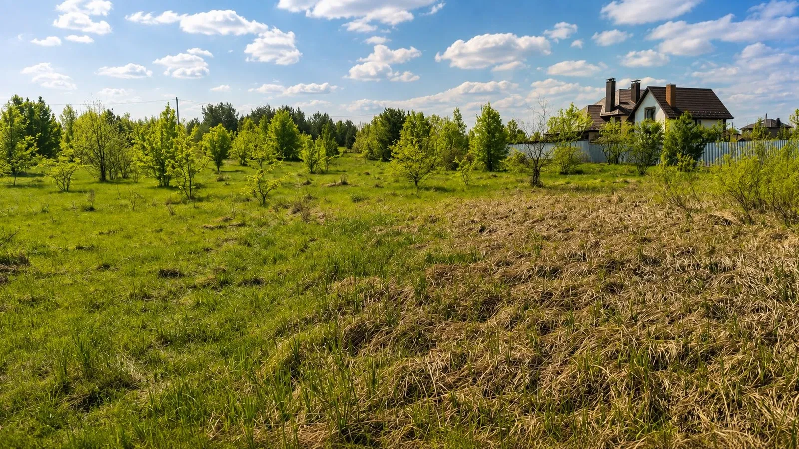 Ділянка 32 сотки, Кам’янка: власне озеро, 5 км до Житомира - фото 3
