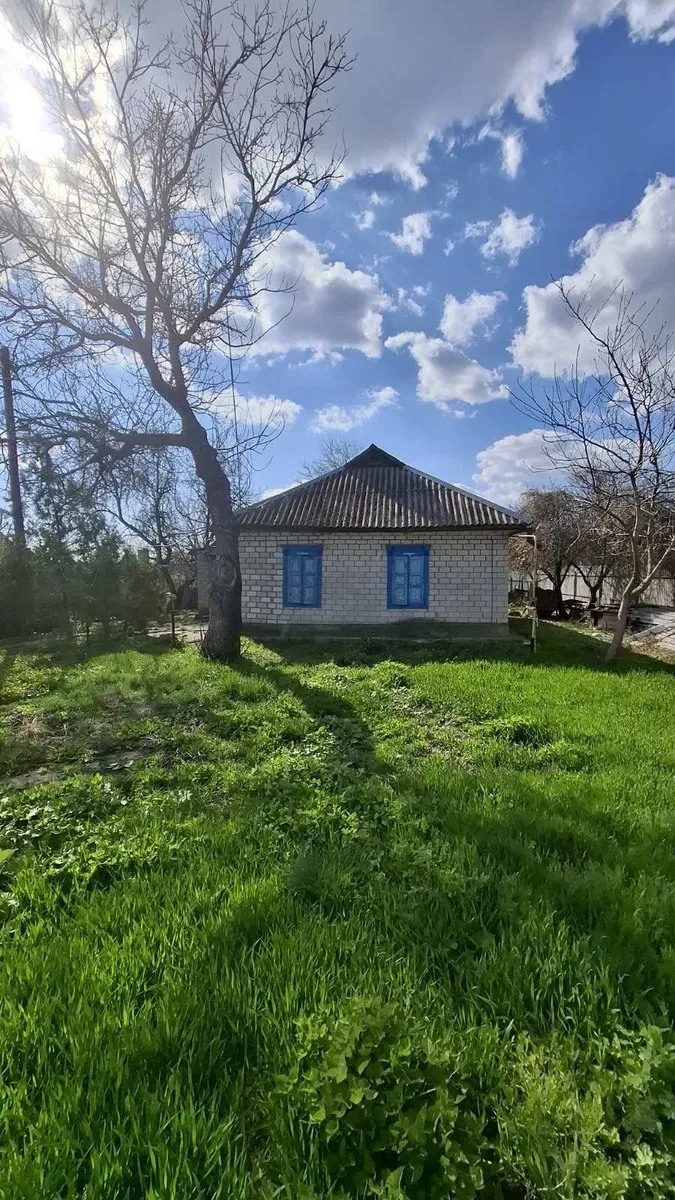 Будинок, Нова Знам'янка: 34 сотки, сад, до 5 км від міста - фото 2