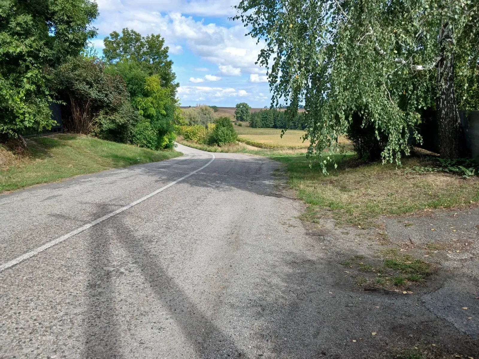 Будинок, Домантівка: 65 соток, енергонезалежне опалення, фото 4