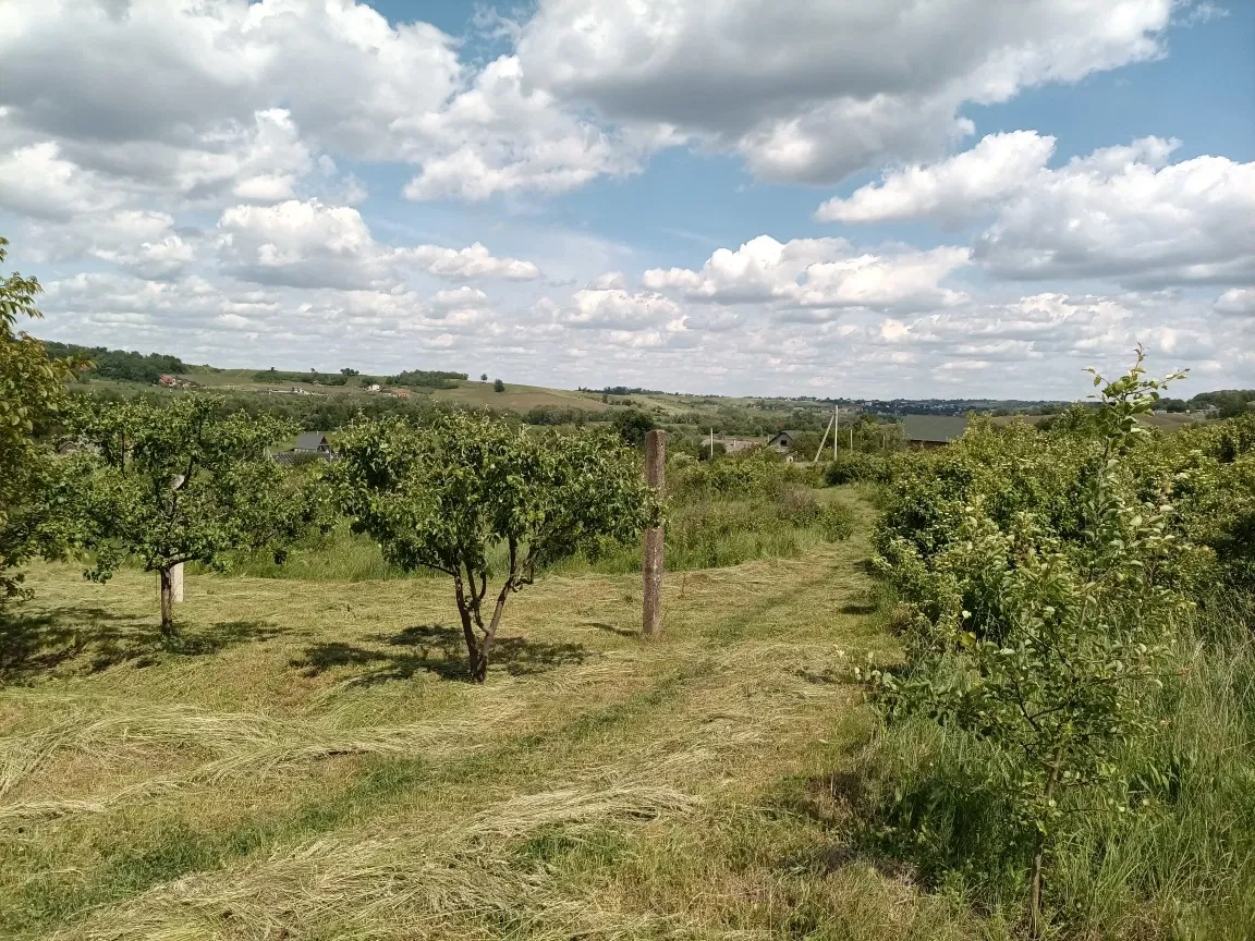 Ділянка 27 соток, Годилів: біля Українських мальдів, фото 1