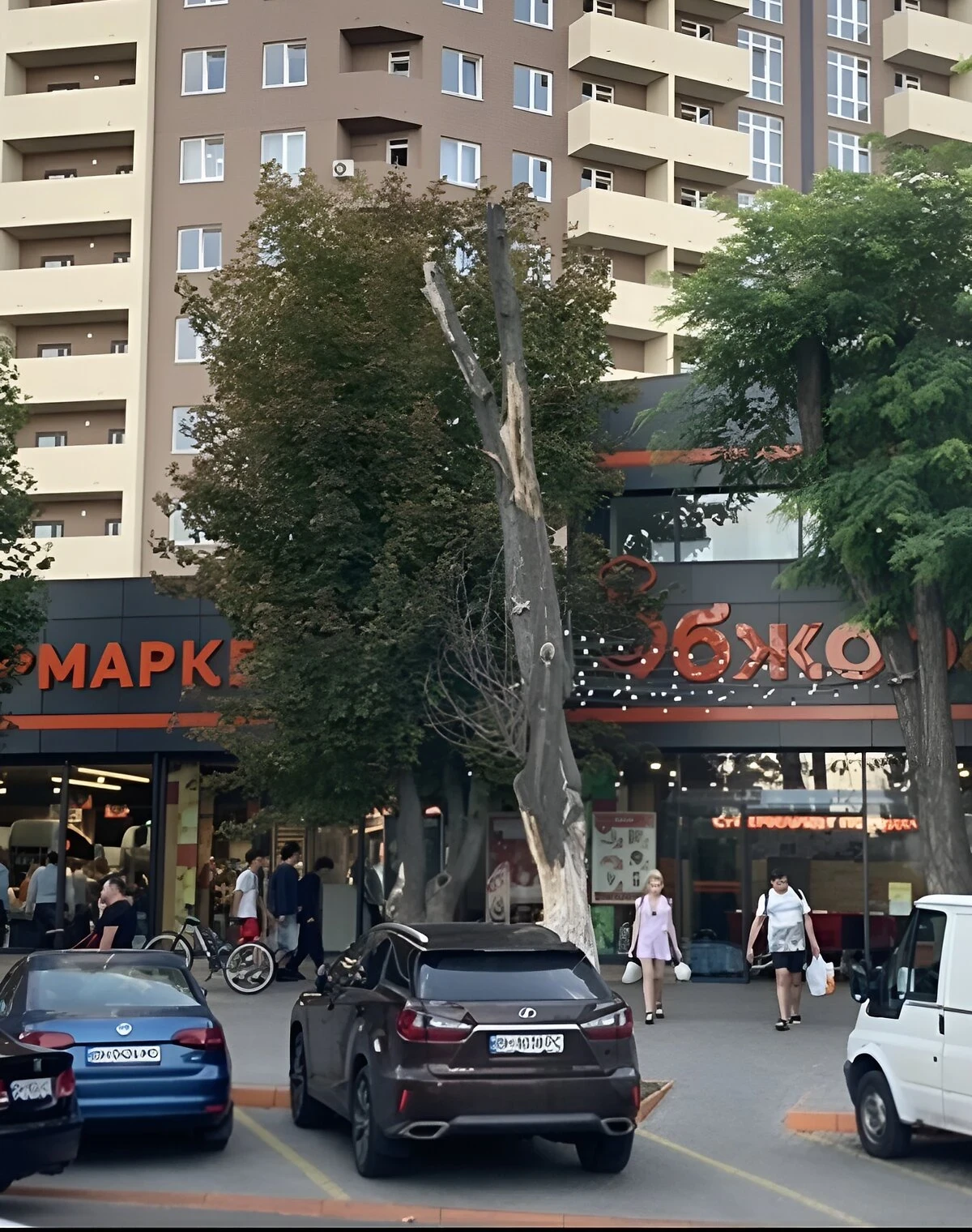 Участок 1.35 сотки, Слободка: под жилую застройку, сад и виноградник, фото 5