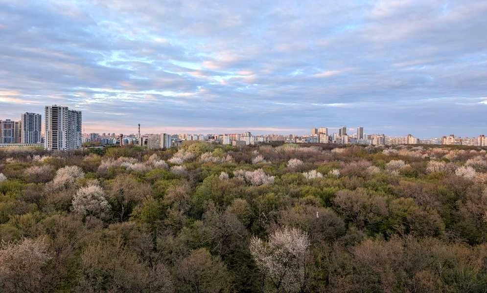 1-кімнатна квартира у ЖК Одеський бульвар: друга здача, інвертор - фото 2