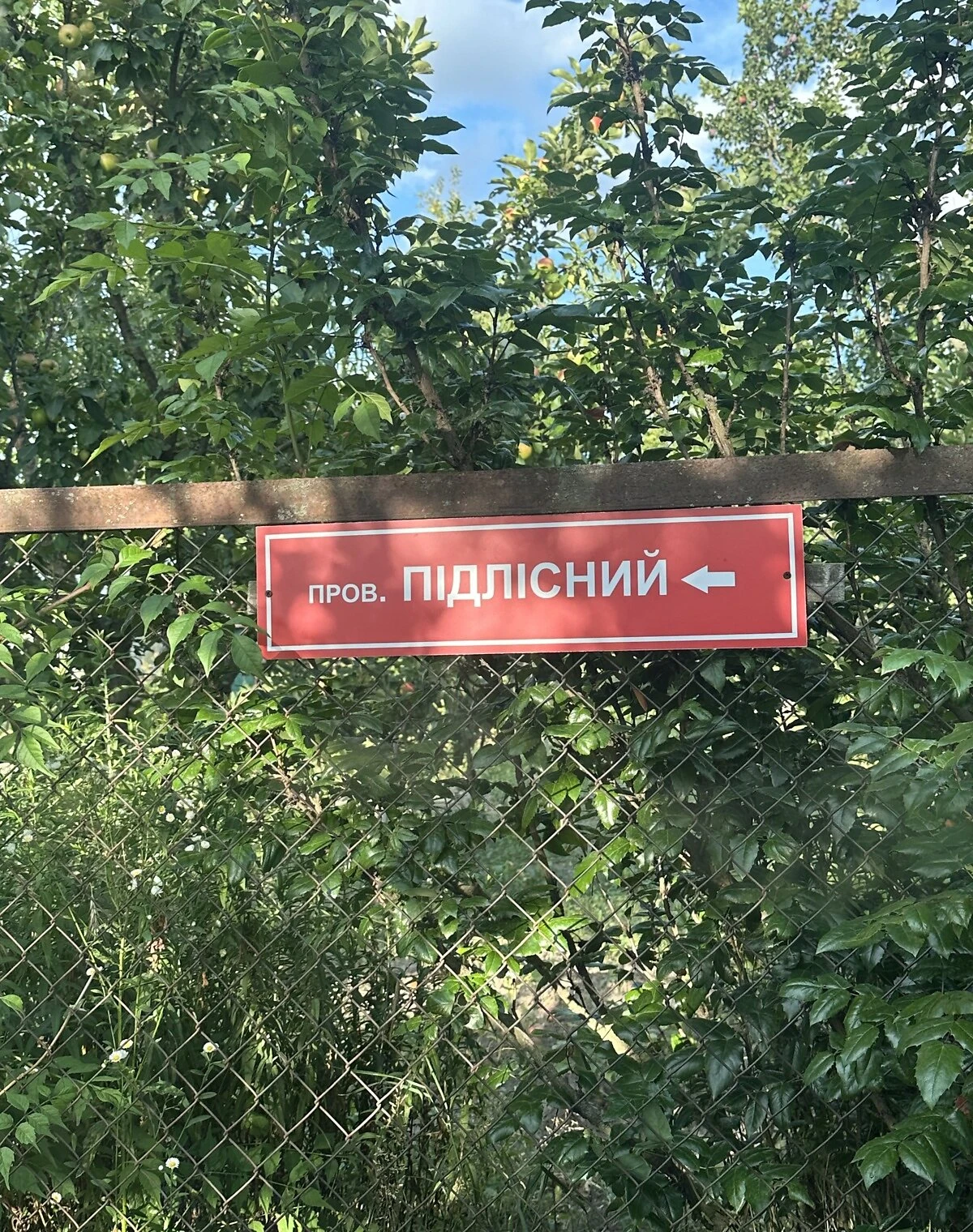 Ділянка 6 соток, Гаразджа: під житлову забудову, садове товариство - фото 4