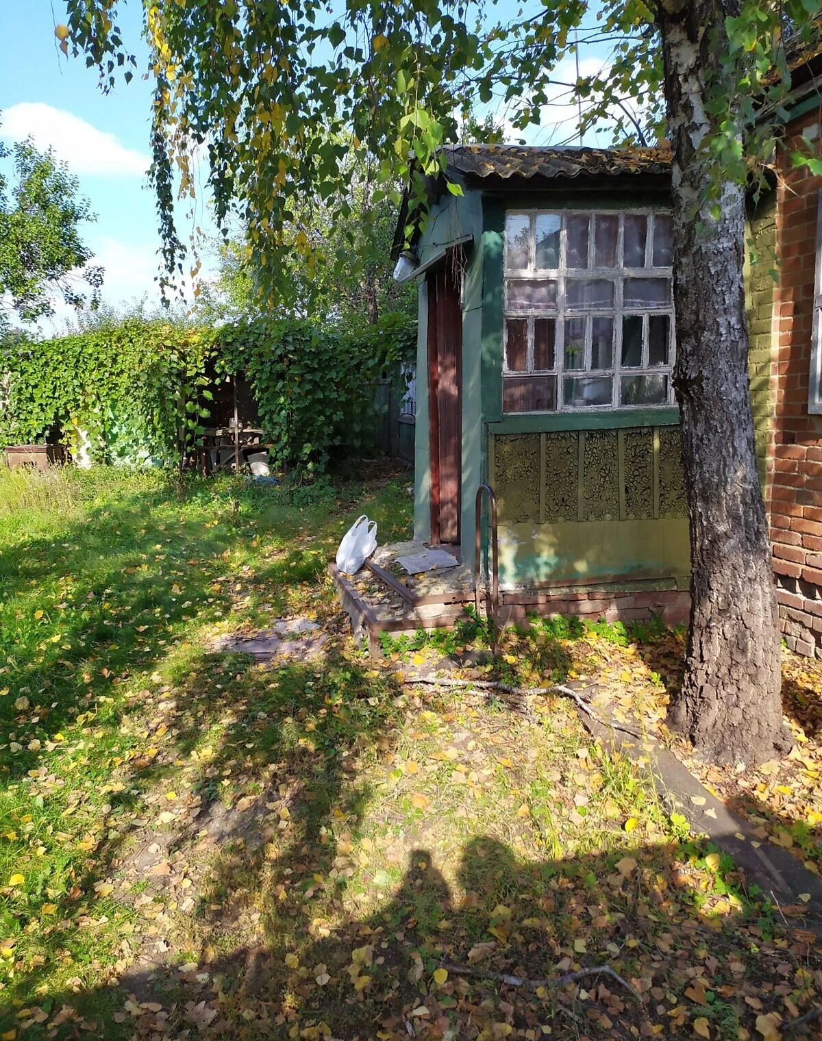 Дом, Сковородиновка: отопление, гараж с подвалом, фото 2