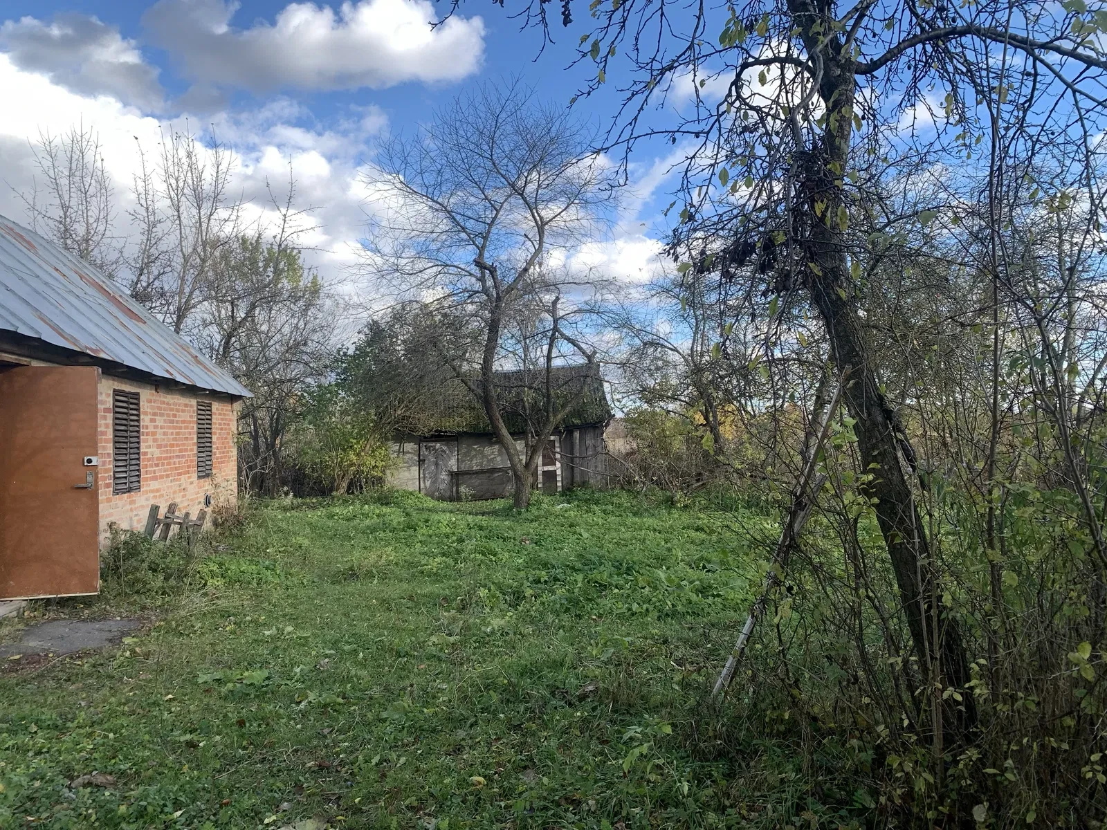 Дача, Товпжин: 20 соток, газ і світло, Хрінники за 2 км - фото 3
