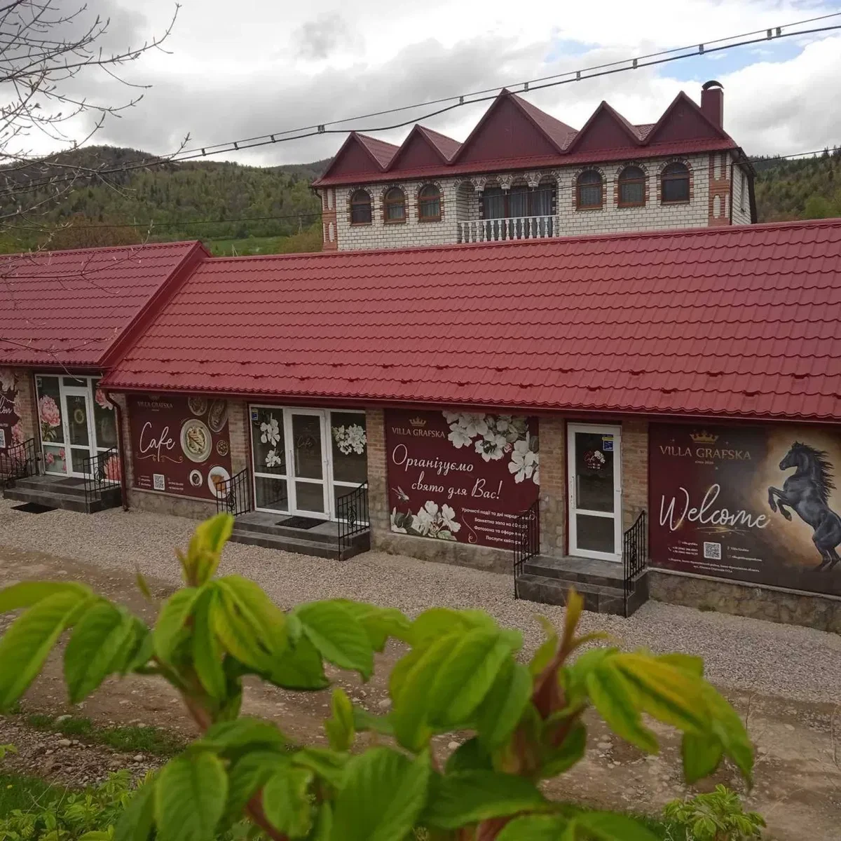 Кафе-ресторан, Івано-Франківськ: літній майданчик, генератор - фото 1