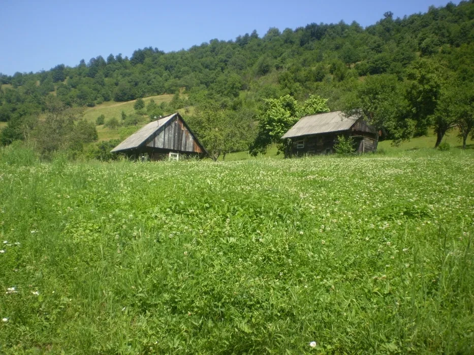 Ділянка 52 сотки, Хмелів: електрика і вода, вид на гори - фото 2