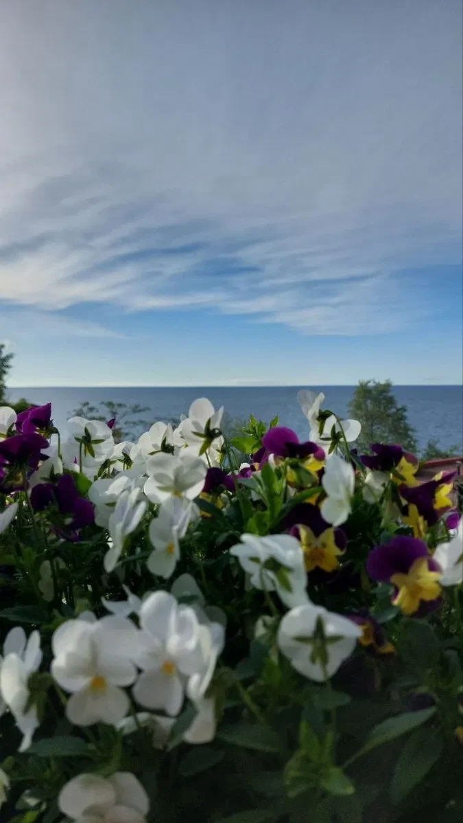 Дом, Совиньон-1: апарт-отель, вид на море, 7 апартаментов, фото 4
