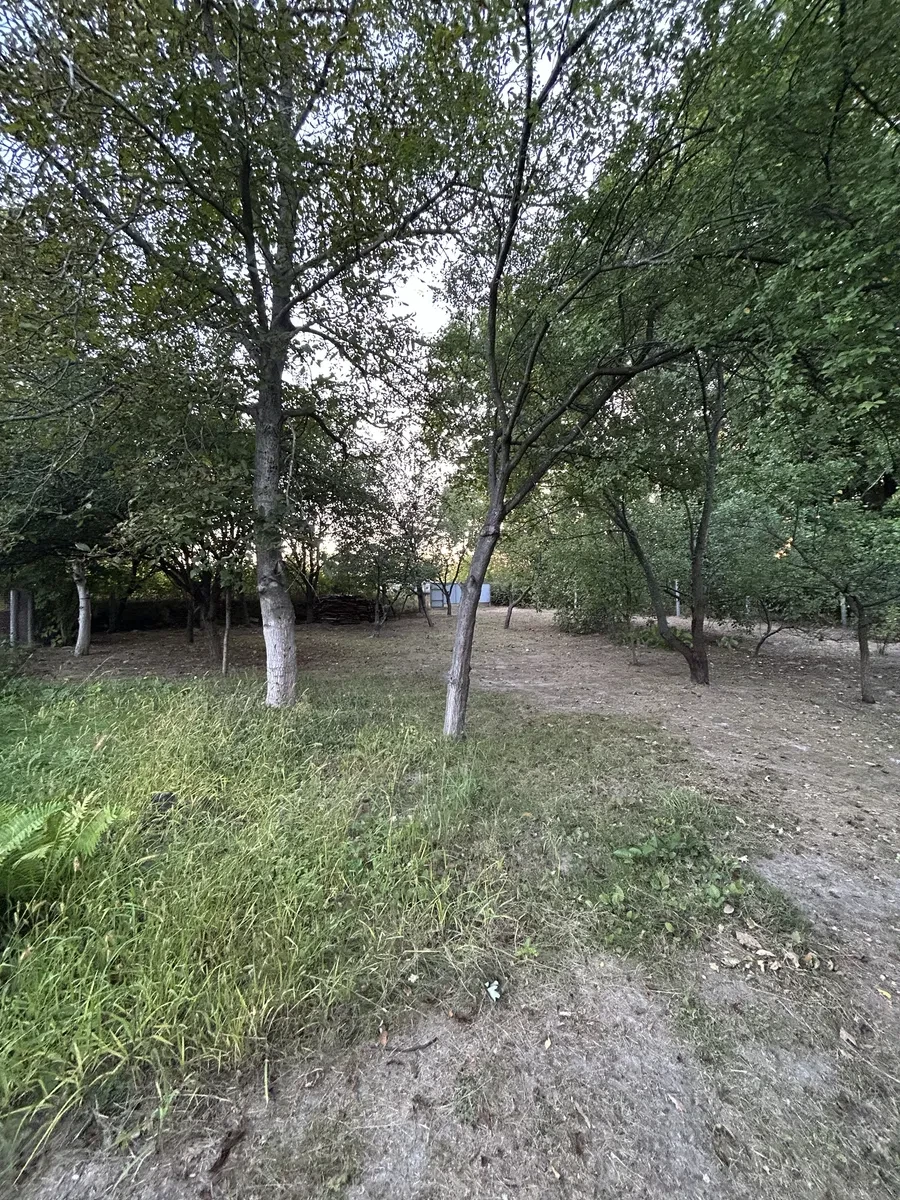 Ділянка 9 соток, Гатне: свердловина, струмок, фото 3