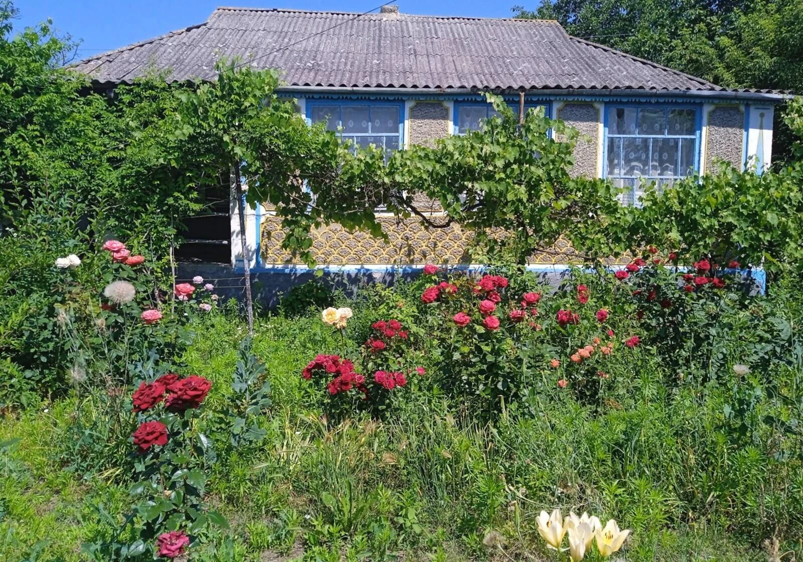 Будинок, Дмитрашківка: 25 соток, пічне опалення