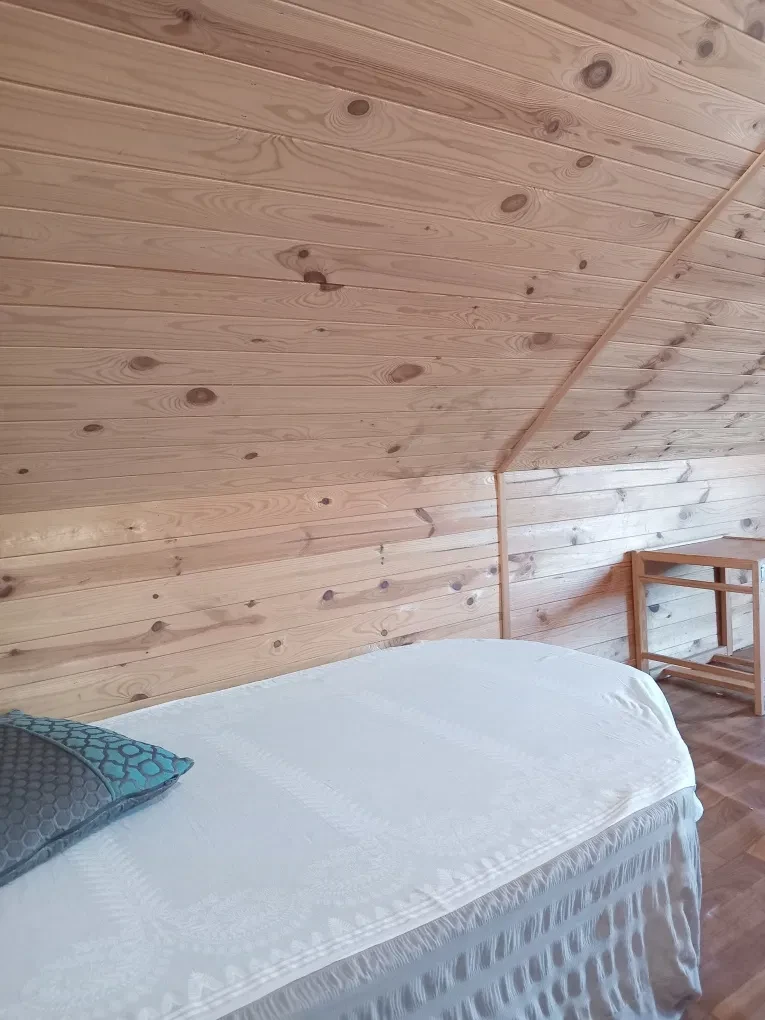 Студія, Голосіївський: біля лісу та річки, можна студентам - фото 4