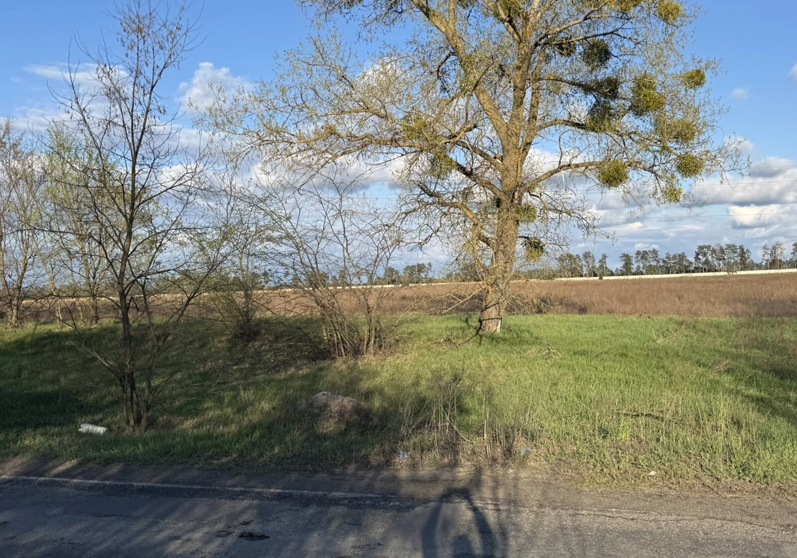 Ділянка під житлову забудову, Макарів: 429 соток, свердловина - фото 3