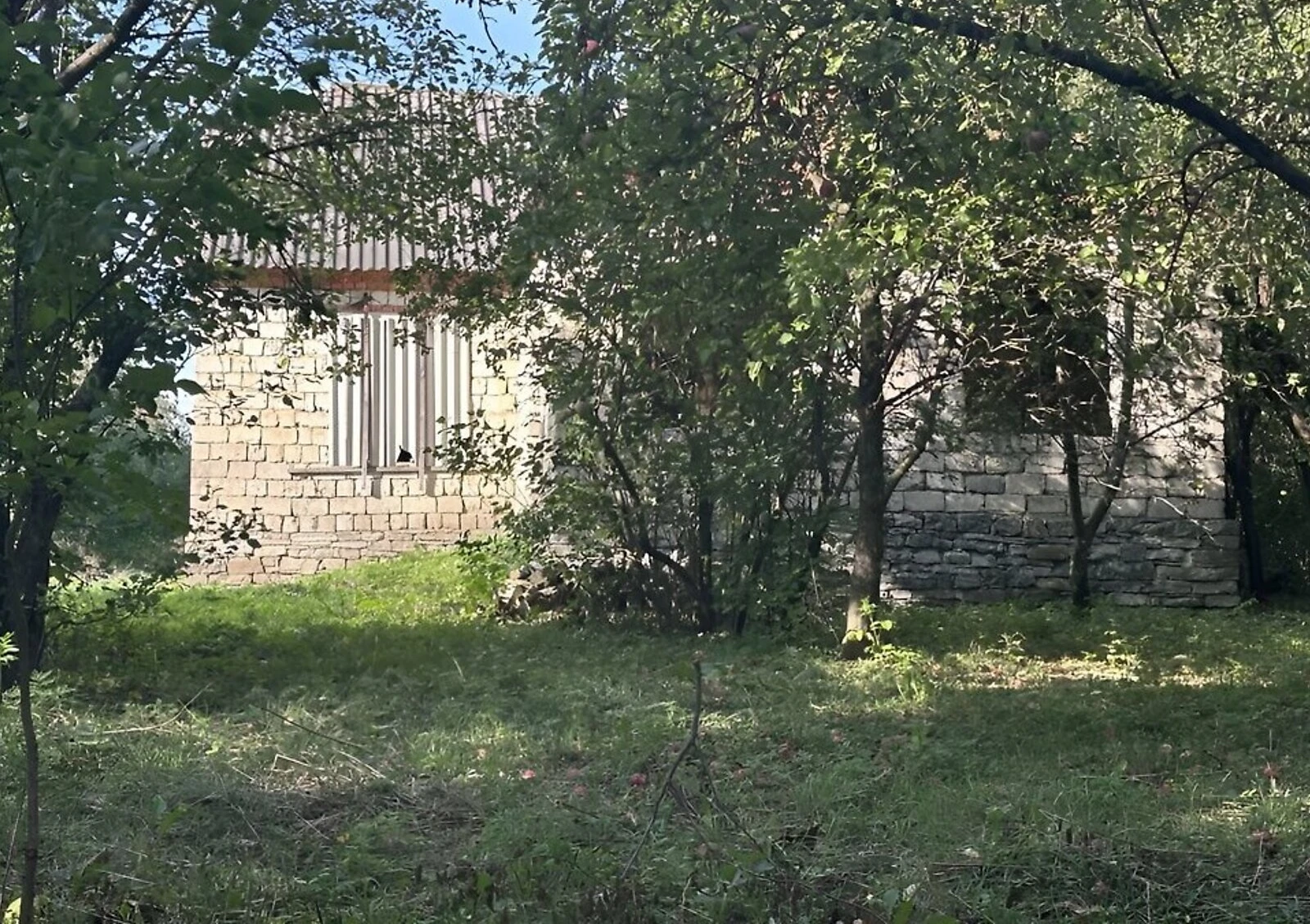 Будинок, Вільховець: ділянка 37 соток, господарські будівлі - фото 4