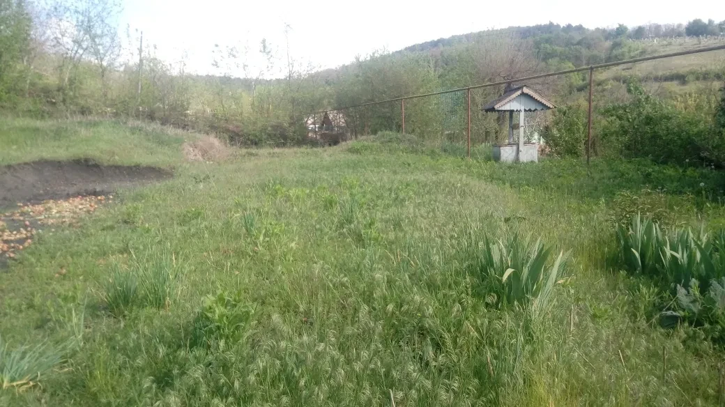 Будинок, Великі Крушлинці: сосновий ліс, вид на місто, 22 сотки - фото 3