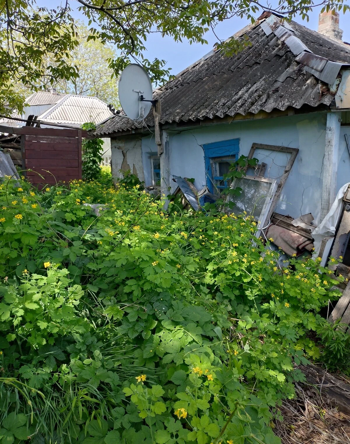 Дом, Диевка-2: участок 8.69 сотки, погреб, печное отопление, фото 5